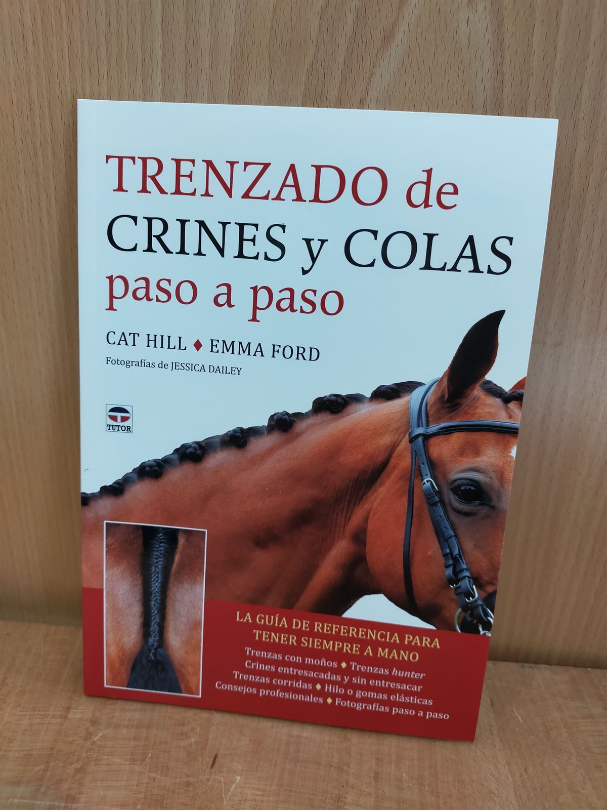 EL LIBRO DE LAS TRENZAS